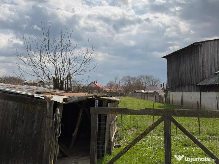 Casă cu 4 camere cu Teren 1000 Mp în Bodești