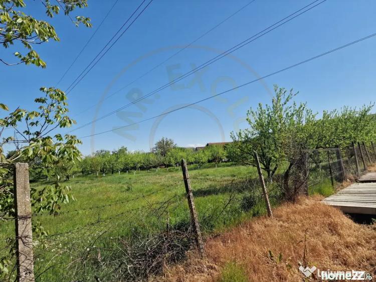 Teren de 3392 mp, în Călinești