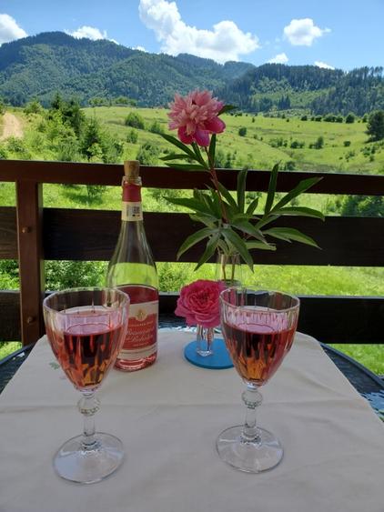 Apartament cu 2 camere semidecomandat în Babarunca