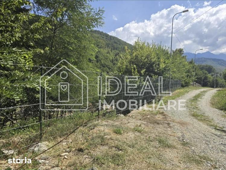 Teren de 2300 mp, în Cârțișoara