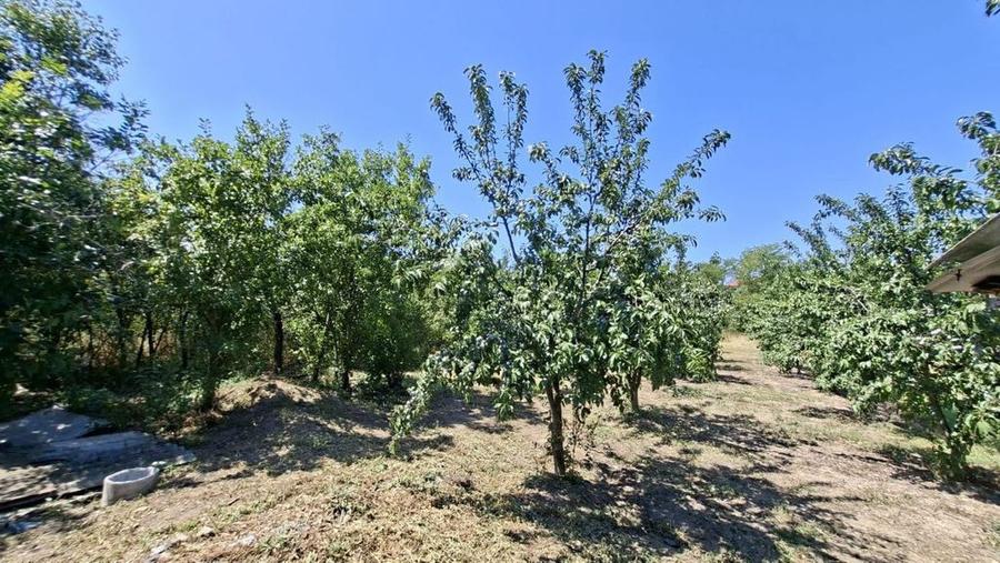 Casă cu 3 camere cu Canalizare în Teiu