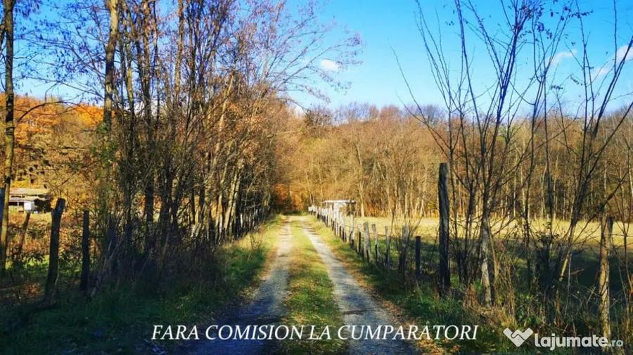 PADURE LANGA ORAS ACCES BUN IDEALA PENTRU ACTIVITATI DE AGRE - Ramnicu Valcea (Valcea) - 1