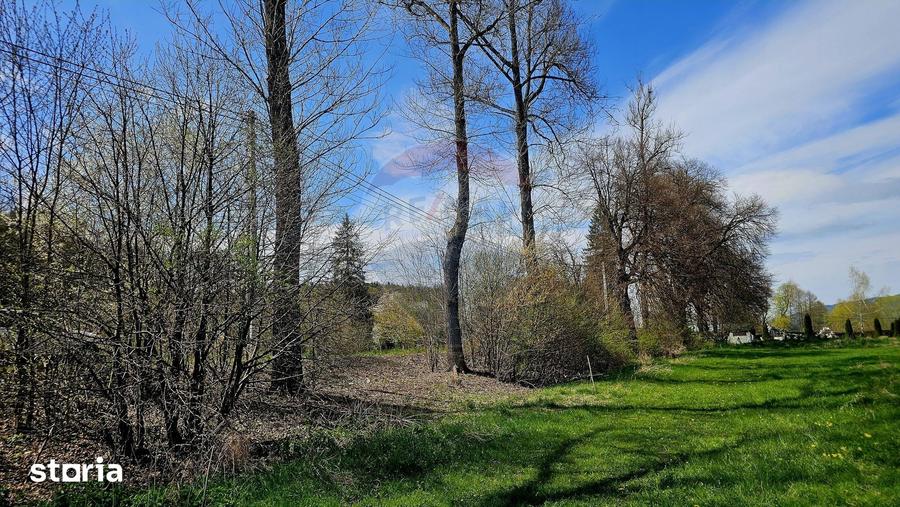 Teren de 10000 mp, în Vânători-Neamț