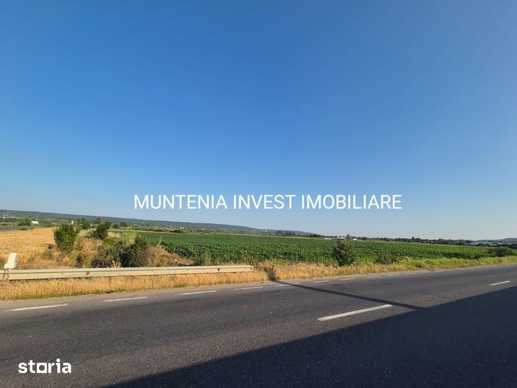 Teren 31703 mp. intravilan Purcareni, Com. Micesti - 5