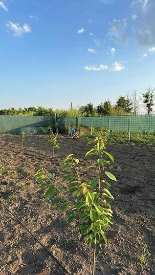 Teren de 1100 mp, în Gemenele
