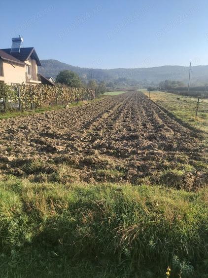 Teren de 2450 mp, în Băiculești