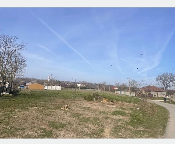 Teren Construcții intravilan de 620 mp, în Amzacea
