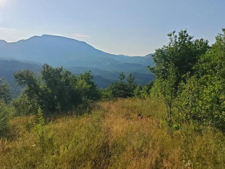 Casă cu 5 camere cu Teren 23000 Mp în Blăjeni