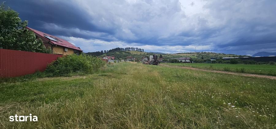Teren de 1450 mp, în Tărlungeni
