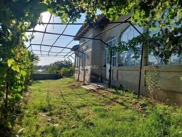 vand casa si 2 hectare teren in curte
