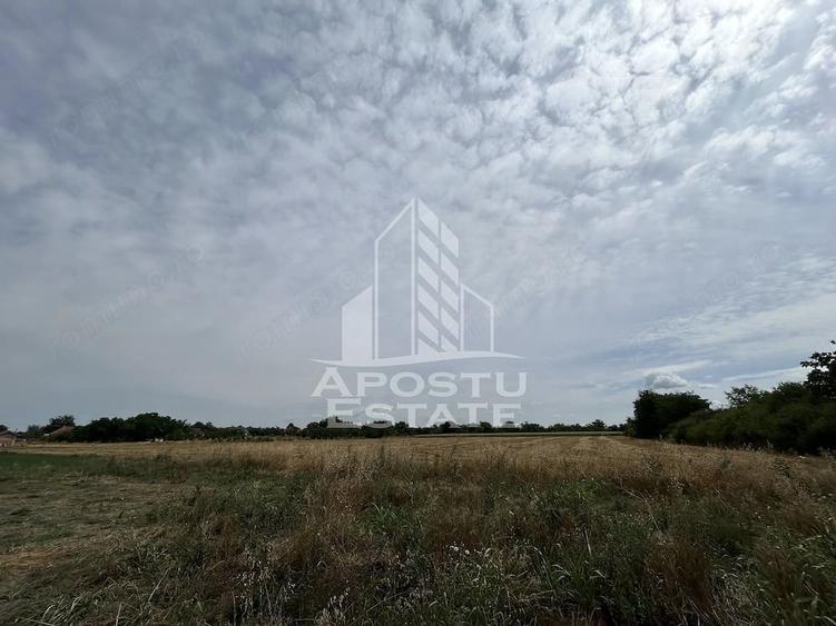 Teren de 2248 mp, în Parța
