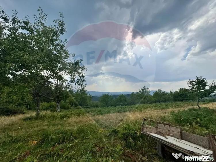 Teren în Brusturi