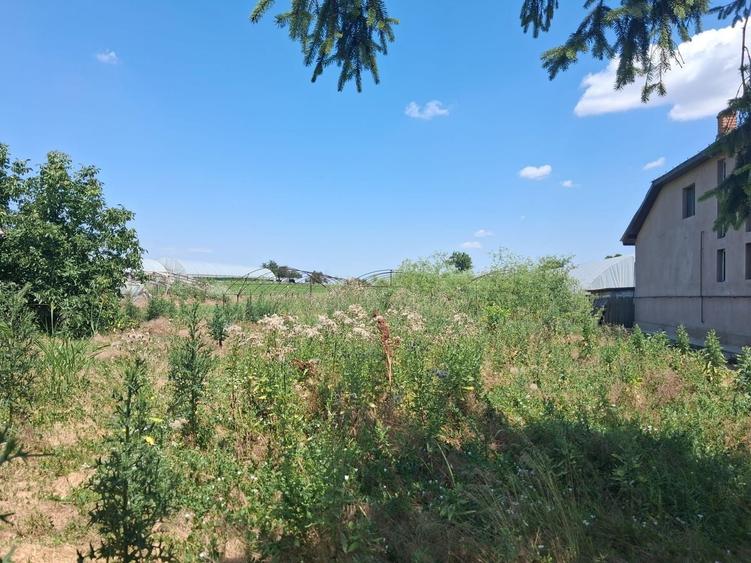 Teren Construcții intravilan de 3524 mp, în Sintești