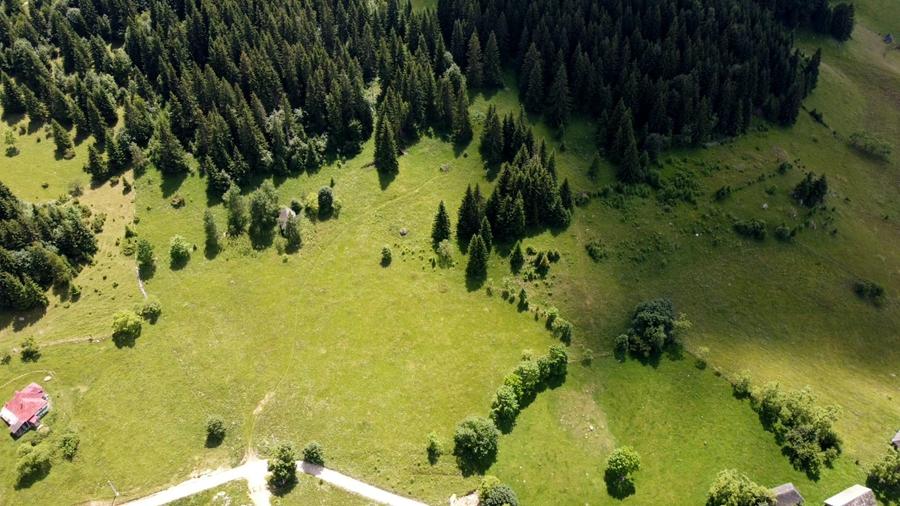 Teren intravilan de 15771 mp, în Fundata