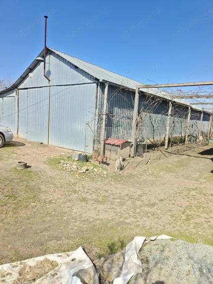 Casă cu Teren 4000 Mp în Vâlcelele