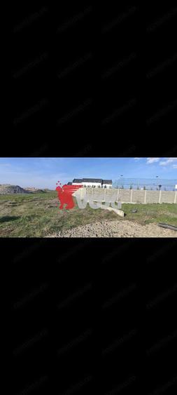 Teren 10000mp-Sacalaz de vanzare - 5