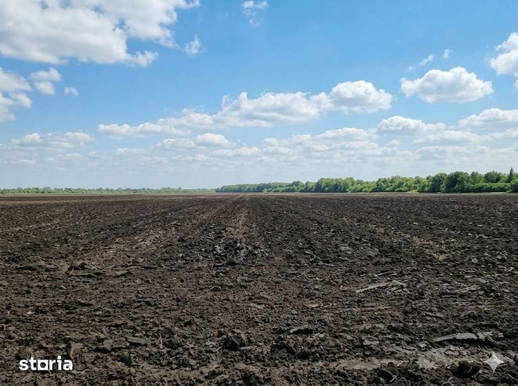 Teren de 8850 mp, în Bucov