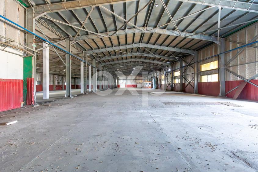 Spațiu industrial, de 3,028.1000976563 mp, în Calea Moinești