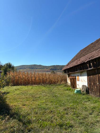 Casă cu 3 camere în Domnești