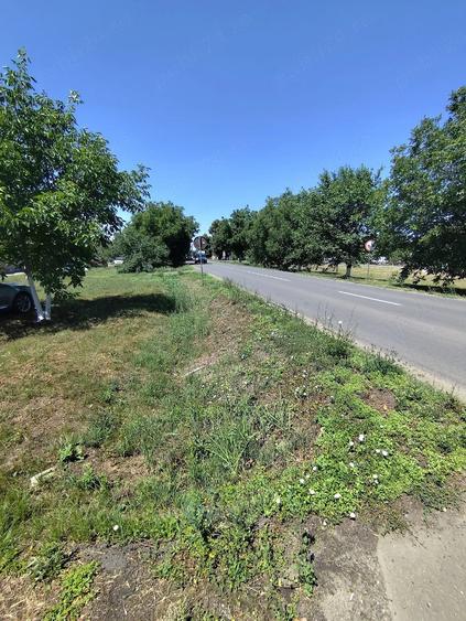 Teren de 1400 mp, în Bodrogu Nou