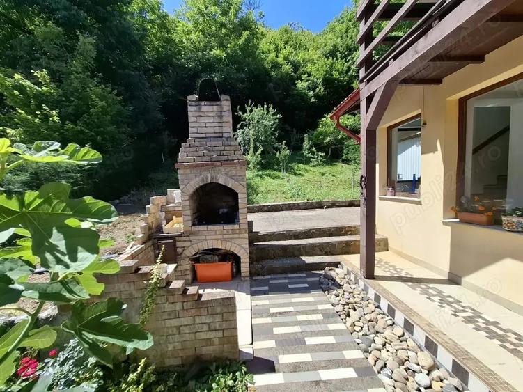 Str. Valea Rosie proprietate compusa din 2 imobile, casa P+M si una pe parter - 12
