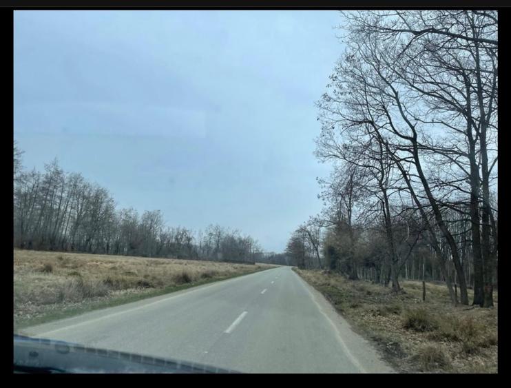 Teren intravilan de 42000 mp, în Teișani