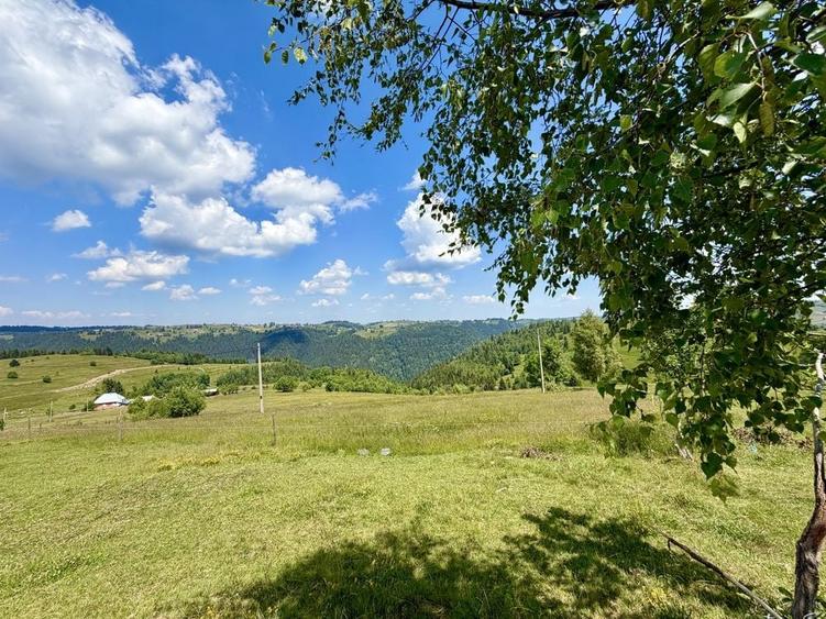Teren de 10000 mp, în Măguri