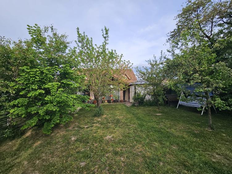 Casa Bacia, judet Hunedoara - 1