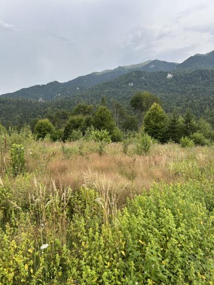 Teren de 1000 mp, în Cumpătu