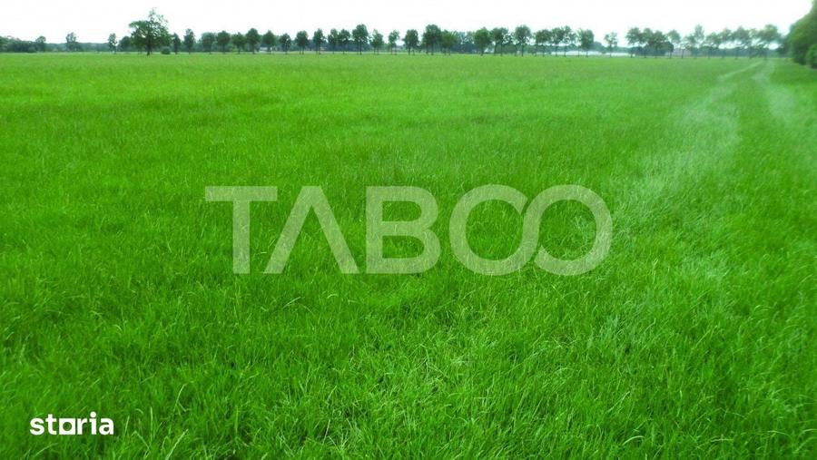 Teren intravilan deschidere 35 ml 7000mp in zona Industrial Vest Sibiu - 2