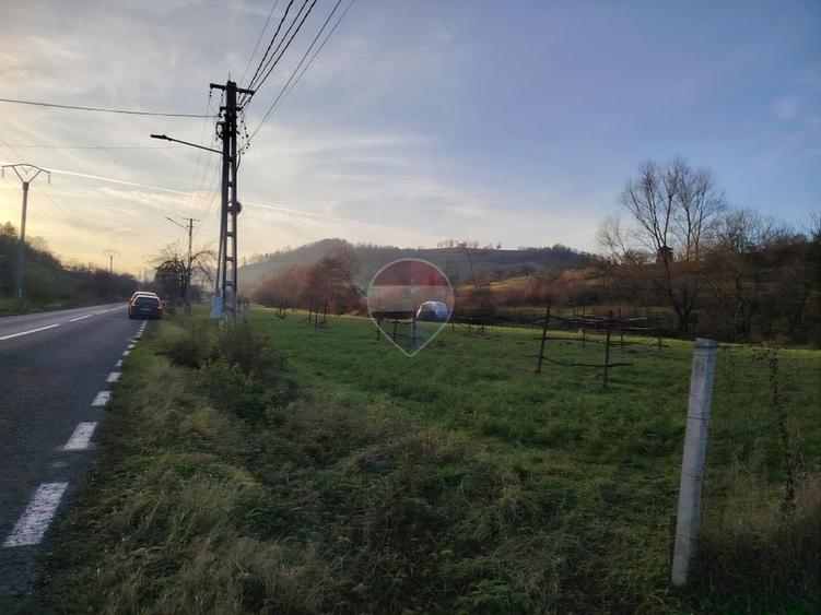 Teren Construcții intravilan de 2619 mp, în Bârsana