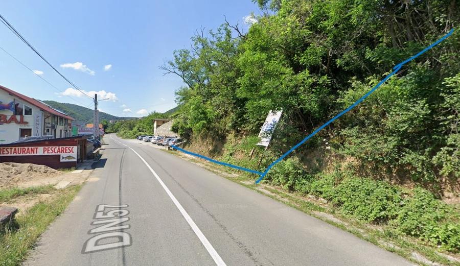 Teren Construcții intravilan de 11972 mp, în Dubova