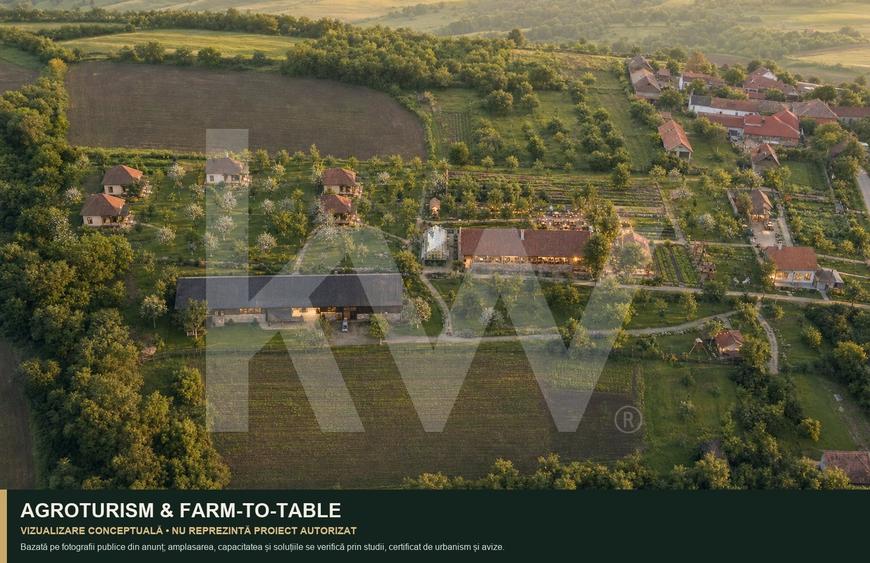 Teren Construcții intravilan de 7979 mp, în Delenii