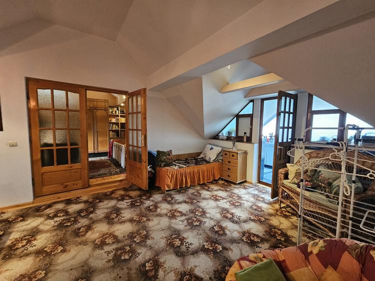 Casa Bacia, judet Hunedoara - 15