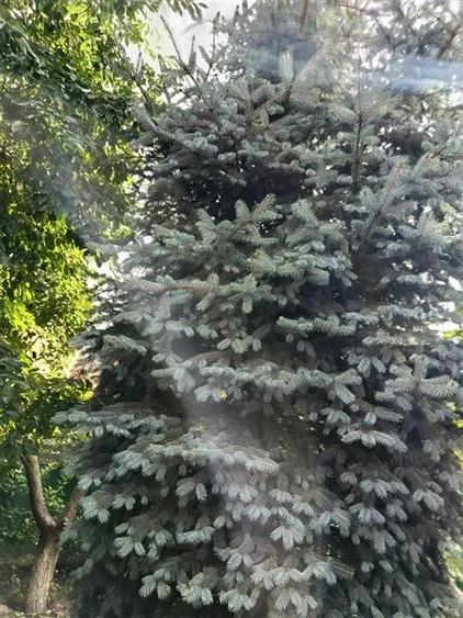 Casă cu 4 camere cu Teren 450 Mp în Ciolpani