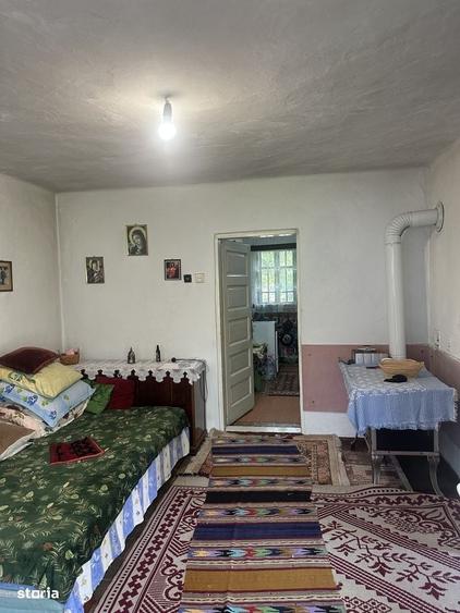 Provita de Jos - casa batraneasca + teren 1046mp - 35000 Euro/Neg. - 7