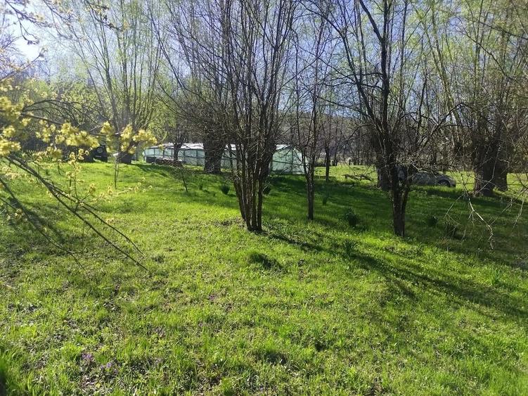 Teren de 1506 mp, în Drajna