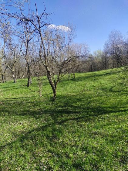 Teren de 1506 mp, în Drajna