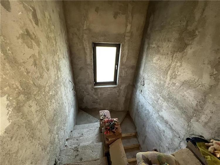 Casa la rosu, de vanzare in Lunca Cetatuii - 9