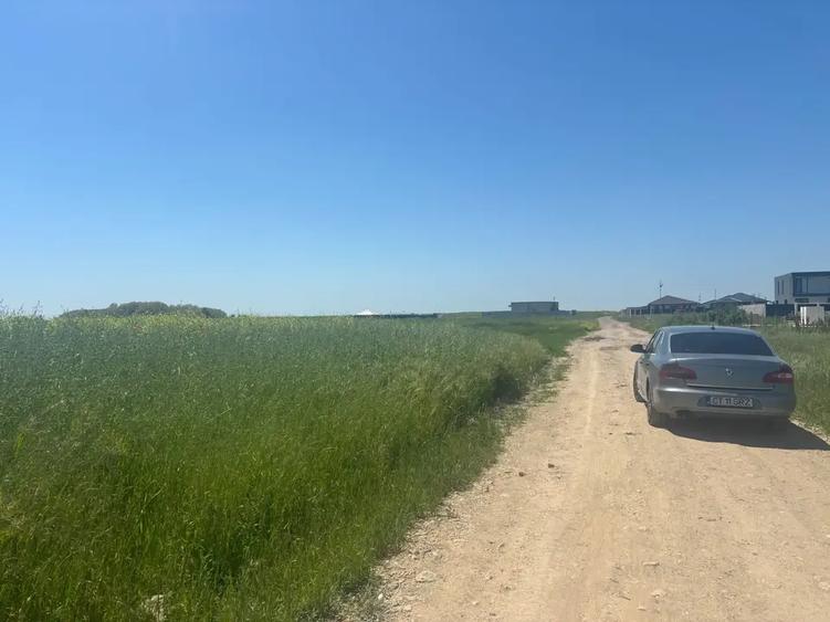 Teren agricol intravilan de 500 mp, în Berceni
