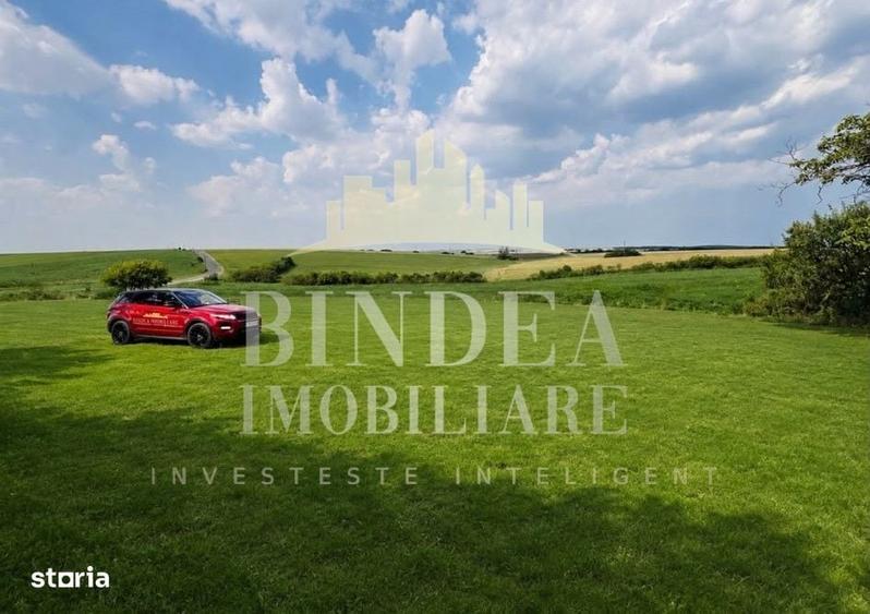 Casa individuala pe parter in Bencecul de Sus 810 mp - 1
