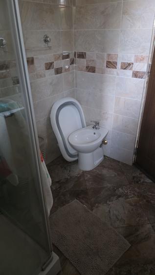 Proprietar inchiriez casa in Albina comuna Mosnita Noua - 1