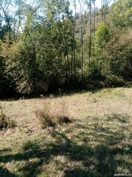 Teren de 6209 mp, în Lelese