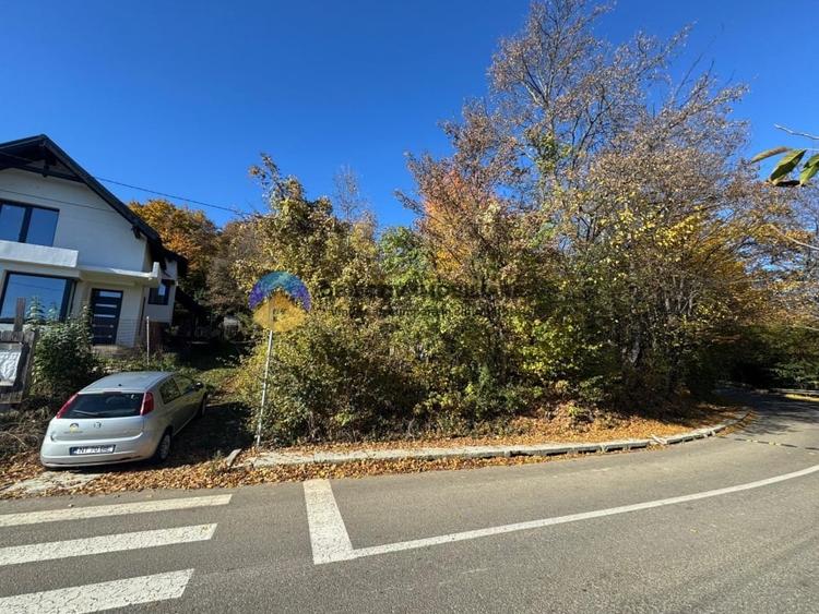 Teren intravilan de vânzare – Piatra Neamț - 10