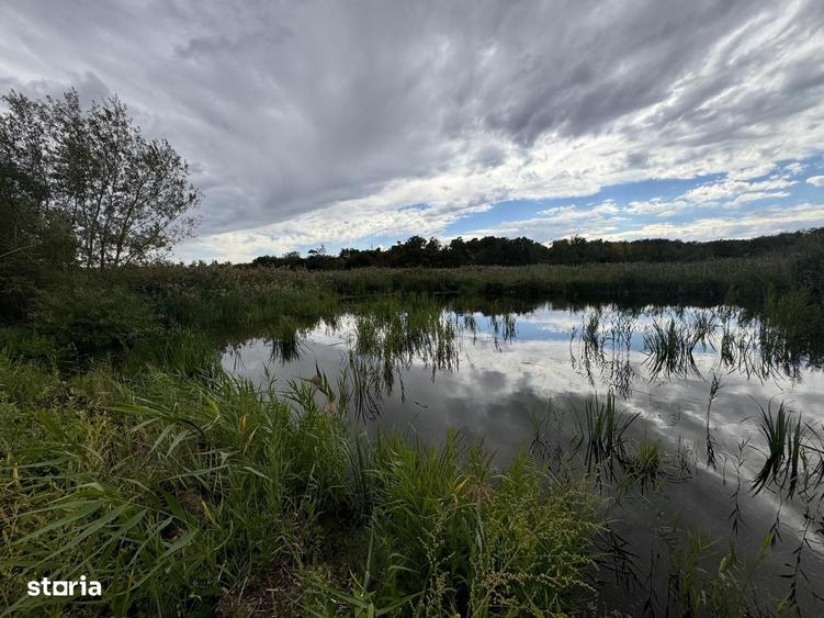 Teren cu deschidere la lac str Orhideelor-conectare imediata la curent - 9