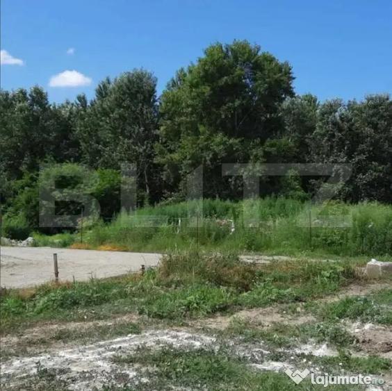 Teren intravilan ,1027 mp , intre Bucuresti si Ploiesti - 2