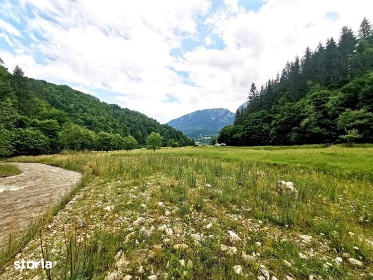 Zarnesti-Barsa Fierului-Teren 1.893 mp pentru Casa de vacan?a, A-frame - 10
