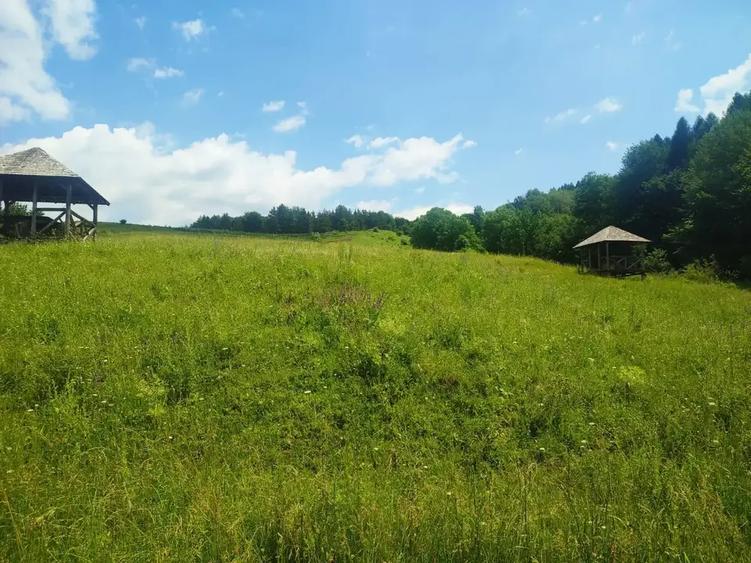 Teren intravilan de 46800 mp, în Gura Beliei