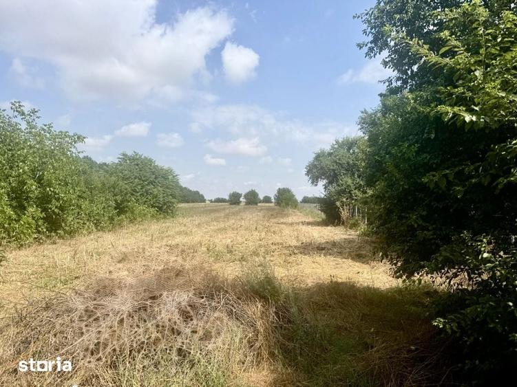 Casă cu 3 camere cu Teren 3000 Mp în Lipia