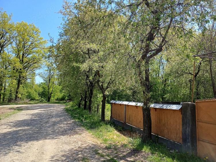 Casă cu Teren 12200 Mp în Cârlig